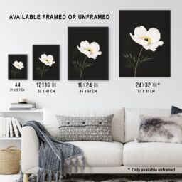 "Artery8 Single White Poppy Anemone Flower Black Floral Framed Wall Art - Size: W12"" x H16""" - thumbnail 3