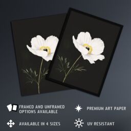 "Artery8 Single White Poppy Anemone Flower Black Floral Framed Wall Art - Size: W12"" x H16""" - thumbnail 2