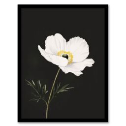 "Artery8 Single White Poppy Anemone Flower Black Floral Framed Wall Art - Size: W12"" x H16""" - thumbnail 1