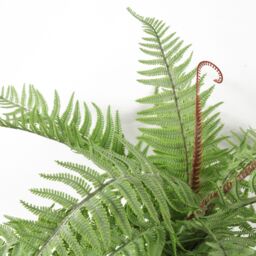 Leaf 60cm Artificial Bushy Dixie Wood Fern Light Green Plant - thumbnail 4