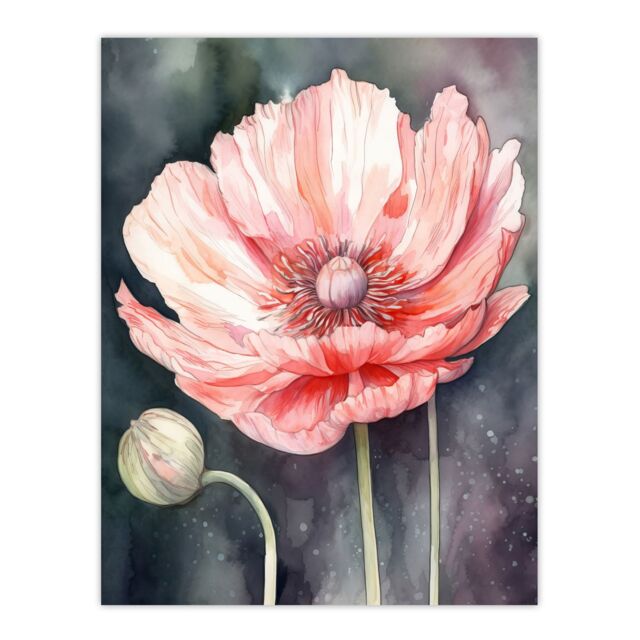 Artery8 Wall Art Print Pink Poppy Flower Pastel Watercolour Painting Spring Bud & Bloom Close-Up Nature Colourful Bright Floral Modern Artwork Poster - image 1