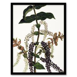 Artery8 New Zealand Tutu Plant Vintage Artwork Featon Framed Wall Art Print in Beige - Size: A4 - thumbnail 1