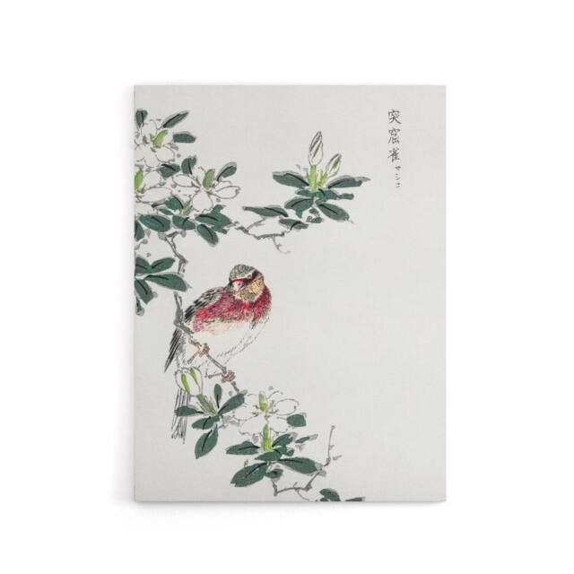 "Artery8 Long Tailed Rosefinch Japanese Canvas Wall Art Print Numata Kashu - Size: W18"" x H24""" - image 1