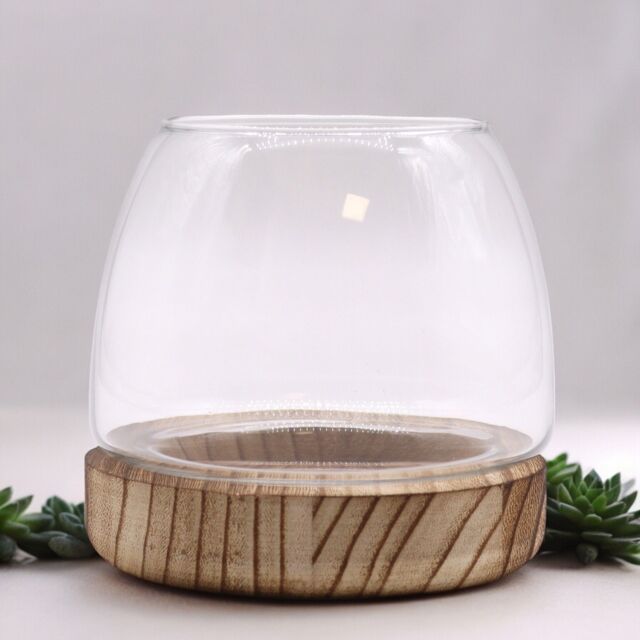 KDMD Small Terarium on Natural Tung Wood in Brown - image 1