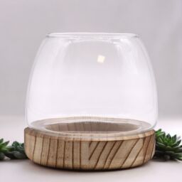 KDMD Small Terarium on Natural Tung Wood in Brown - thumbnail 1