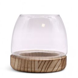 KDMD Small Terarium on Natural Tung Wood in Brown - thumbnail 2