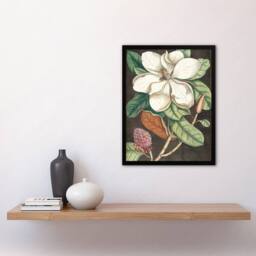 Artery8 Altissima Flower Laurel Tree Magnolia Catesby Framed Wall Art Print - Size: A4 - thumbnail 2