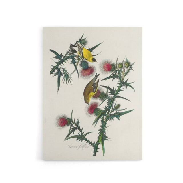 "Artery8 American Goldfinch & Thistle Audubon Nature Canvas Wall Art in White - Size: W18"" x H24""" - image 1