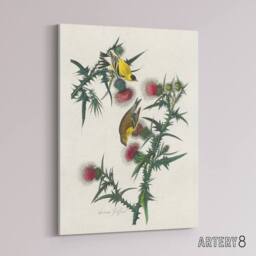 "Artery8 American Goldfinch & Thistle Audubon Nature Canvas Wall Art in White - Size: W18"" x H24""" - thumbnail 2