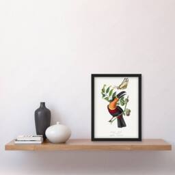 Artery8 Paul Gervais Toucan & Butterfly Vintage Illustration Framed Art Print in White - Size: A4 - thumbnail 4