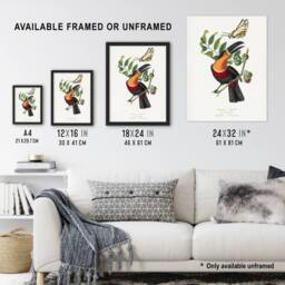 Artery8 Paul Gervais Toucan & Butterfly Vintage Illustration Framed Art Print in White - Size: A4 - thumbnail 3