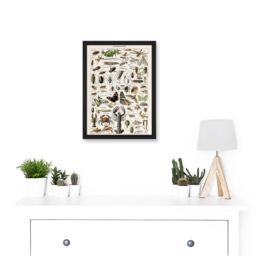 Artery8 Millot Encyclopedia Arthropods Exoskeletal Animals Nature Artwork Framed Wall Art Print A4 in Black - thumbnail 2