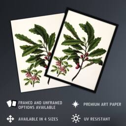 Artery8 New Zealand Toropapa Flowering Plant Featon Framed Wall Art Print in Beige - Size: A4 - thumbnail 2