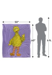 Sesame Street Big Bird Painted Silky Touch Super Soft Throw Blanket 152 X 127 cm in White - thumbnail 5