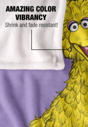Sesame Street Big Bird Painted Silky Touch Super Soft Throw Blanket 152 X 127 cm in White - thumbnail 4