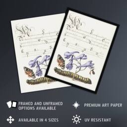 Artery8 Butterfly Caterpillar & Flower Calligraphy Framed Wall Art Print in White - Size: A4 - thumbnail 2