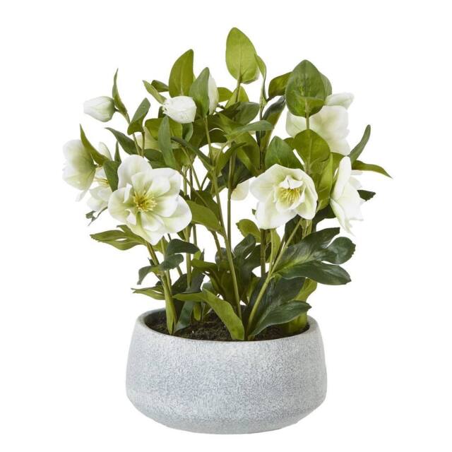 Wyld Haus White Hellebore Artificial Plant in Grey Ceramic Pot - image 1