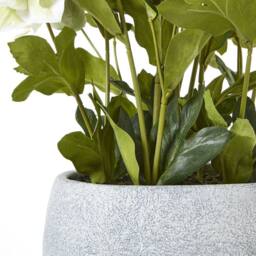 Wyld Haus White Hellebore Artificial Plant in Grey Ceramic Pot - thumbnail 4