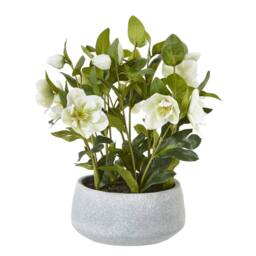 Wyld Haus White Hellebore Artificial Plant in Grey Ceramic Pot