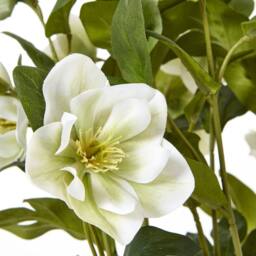 Wyld Haus White Hellebore Artificial Plant in Grey Ceramic Pot - thumbnail 6