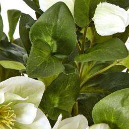 Wyld Haus White Hellebore Artificial Plant in Grey Ceramic Pot - thumbnail 3