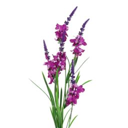 Leaf 80cm Artificial Dark Pink Larkspur Artifical Stem