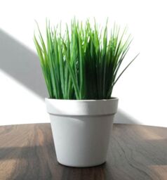 Leaf Artificial Grass Plant Foliage Ready to Display 22cm Pack of 6 in Green - thumbnail 5