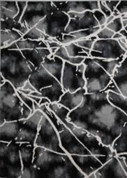 Celebrity Interiors Balletto 19NA Anthra/Black Rug in Black - Size: 120 cm x 170 cm - thumbnail 3