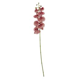 Orsina Pink Orchid Spray - 100cm, Graceful Faux Orchid Stem With Delicate Pink Blooms, Adds Height & Elegance - thumbnail 1