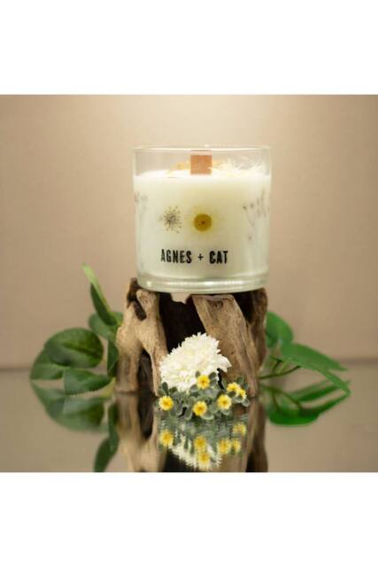 KDMD Agnes & Cat Windermere Inspired Soy Wax Candle in White - image 1