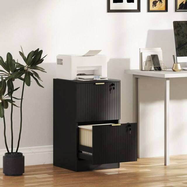 EONLION Filing Cabinet, File Cabinet with 2 Lockable Drawers in Black - Size: 100 cm - image 1