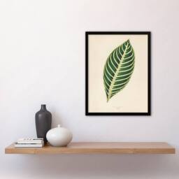 Artery8 Vintage Botanical Tiger Plant Leaf Fawcett Framed Wall Art Print in Beige - Size: A4 - thumbnail 2