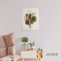 "Artery8 Vintage Fruit Illustration of Strawberries Wright Canvas Art Print in White - Size: W12"" x H16""" - thumbnail 3
