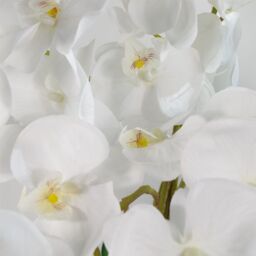 Leaf 85cm Artificial Deluxe Bush Orchid White - thumbnail 2