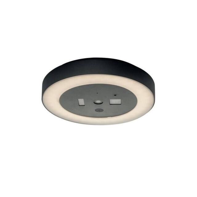 Netlighting ZOOM LED Flush Ceiling Light Anthracite IP54 1800lm 4000K 30x5.5cm in Black - Size: 30x5.5 cm - image 1
