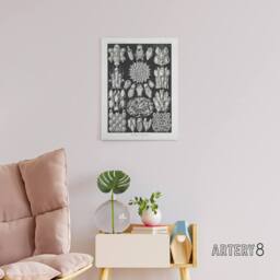 "Artery8 Bryozoa Aquatic invertebrates Haeckel Botanical Canvas Wall Art in Black - Size: W18"" x H24""" - thumbnail 3