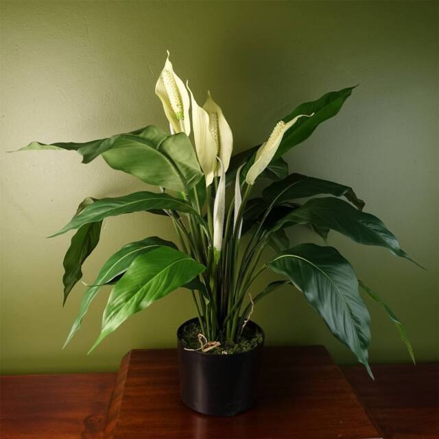Leaf Artificial Peace Lily White Spathiphyllum - image 1