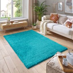 Smart Living Soft Fluffy 5cm Thick Pile Shaggy Area Rugs for Living Room, Bedroom in Teal - Size: 60 cm x 110 cm