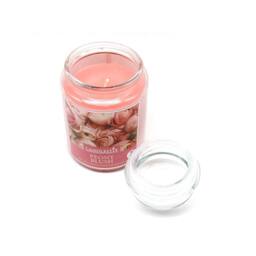 Voltico 18oz Peony Blush Scented Jar Candle - Uplifting Floral Home Fragrance in Pink - thumbnail 4