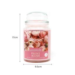 Voltico 18oz Peony Blush Scented Jar Candle - Uplifting Floral Home Fragrance in Pink - thumbnail 2