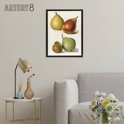 "Artery8 Four Pear Varieties Vintage Illustration Wright Framed Canvas Wall Art in White - Size: W18"" x H24""" - thumbnail 3