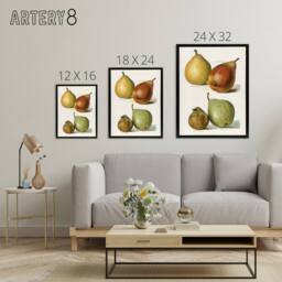 "Artery8 Four Pear Varieties Vintage Illustration Wright Framed Canvas Wall Art in White - Size: W18"" x H24""" - thumbnail 4