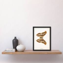 Artery8 Denton Framed Wall Art Print Ailanthus Silkmoth Vintage Illustration in White - Size: A4 - thumbnail 2