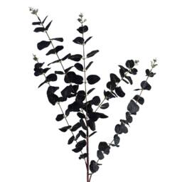 Leaf 80cm Orange Chrysanthemum Foliage & Glass Vase in Black - thumbnail 3