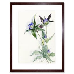 "Artery8 Wall Art Print Purple Watercolour Flowers Art Framed 9x7 inch in Brown - Size: W7"" x H9""" - thumbnail 1
