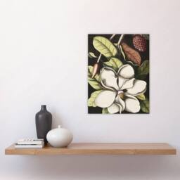 "Artery8 Laurel Tree Magnolia Altissima Flower Catesby Wall Art Poster Print - Size: W12"" x H16""" - thumbnail 4