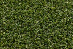 RugsX Artificial Grass Walnut Rug in Green - Size: 200 cm x 400 cm - thumbnail 4