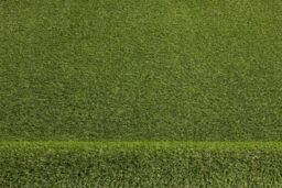 RugsX Artificial Grass Walnut Rug in Green - Size: 200 cm x 400 cm - thumbnail 2