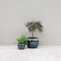Primrose Glazed Round Outdoor Clay Planter in Two Tone Blue & Gold 40cm - thumbnail 5