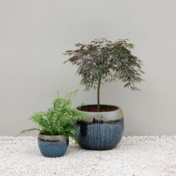 Primrose Glazed Round Outdoor Clay Planter in Two Tone Blue & Gold 40cm - thumbnail 6